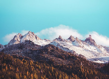 爱游戏体育-崔康熙：联赛第7并不满足 抱着夺冠的信念参加亚冠